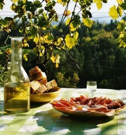 Ekoloska vina zgornja korena