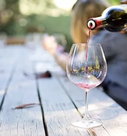 Ekoloska vina zgornja korena