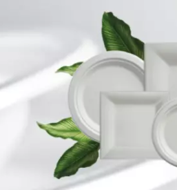 Embalaža to go Slovenija