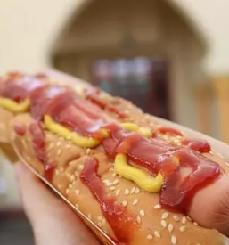 Fast food ljubljana siska