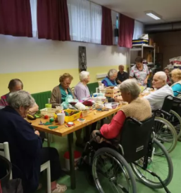 Fizioterapija za starejše občane Domžale