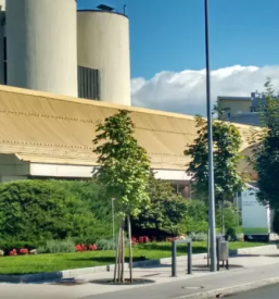 Kakovostna fizioterapija za starejše Domžale