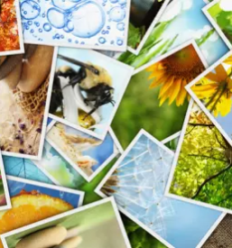 Fotografija za osebni dokument cena