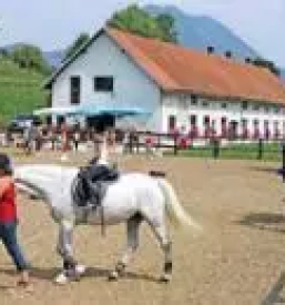 Free rooms podčetrtek