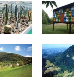 Free rooms podčetrtek