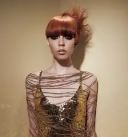 Frizerski salon ljubljana dravlje