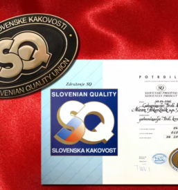 Galvanizacija slovenija