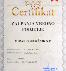 Galvanizacija slovenija