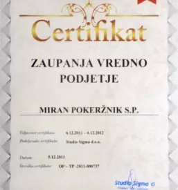 Galvanizacija slovenija