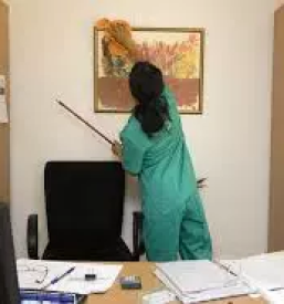 Generalna ciscenja ljubljana okolica