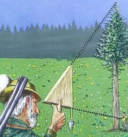 Poceni geodetske storitve Savinjska