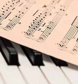 Glasbena sola na daljavo savinjska