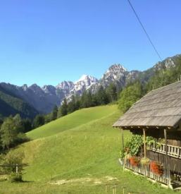 Prost apartma Logarska dolina