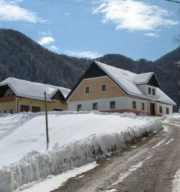 Gobova juha logarska dolina