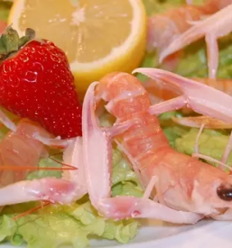 Cheap restaurant Piran