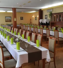 Good hotel in pomurje