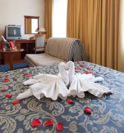 Good hotel in pomurje