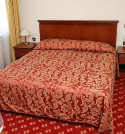 Good hotel in pomurje