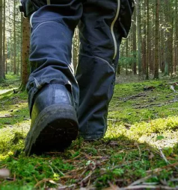 Upravljanje gozda Gorenjska