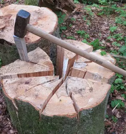 Gozdarske storitve preddvor gorenjska