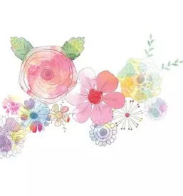 Graficno oblikovanje koroska