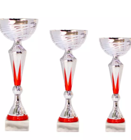 Oblikovanje grafik Kranj