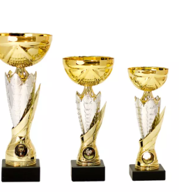 Računalniško grafično oblikovanje Kranj