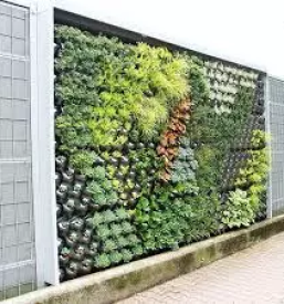 Green wall europe