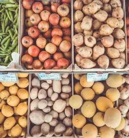 Großhandel mit obst und gemuse slowenien