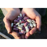 MariK, trgovina na debelo in posredništvo, Majda Podplatnik Kurpes, s.p.