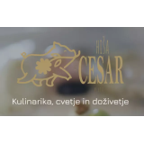 HIŠA CESAR GOSTINSTVO,CVETLIČARSTVO IN DRUGE STORITVE DANIJELA CESAR S.P.