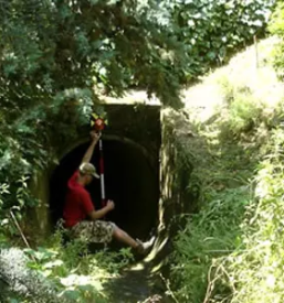 Hitre zakoličbe Primorska, Slovenija