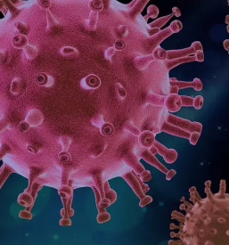 Hitri samoplacniski test goriska