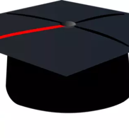 Hitro lektoriranje diplomskih nalog