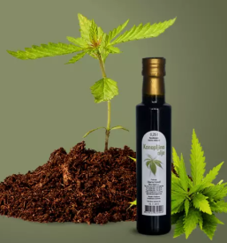 Hladno stiskano bucno olje