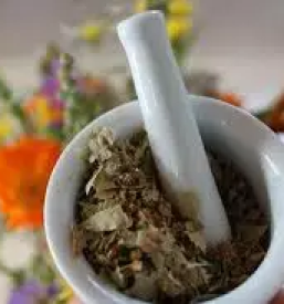 Homeopatija ljubljana