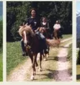 Horse riding slovenia
