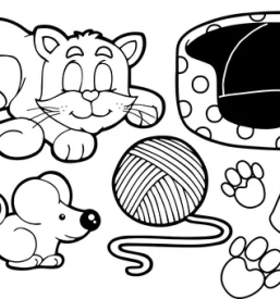 Hrana in oprema za male zivali ljubljana