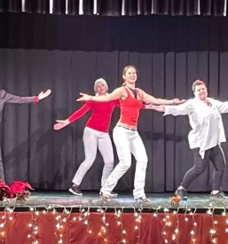 Individualne ure plesa primorska