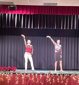 Individualne ure plesa primorska