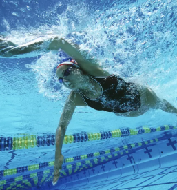 Kvalitetni individualni plavalni tečaji Maribor, Štajerska