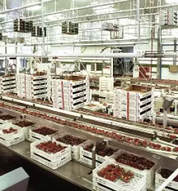 Industrijska avtomatizacija slovenija