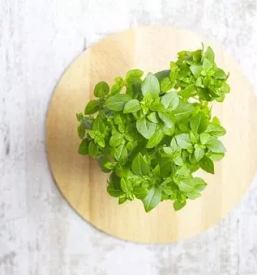 Izdelava desk za rezanje podravska