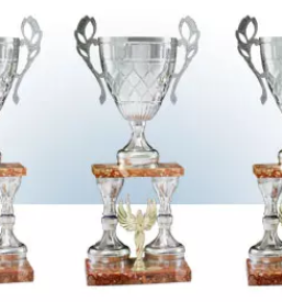 Kvalitetna izdelava pokalov Gorenjska