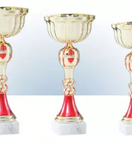 Poceni izdelava pokalov Gorenjska