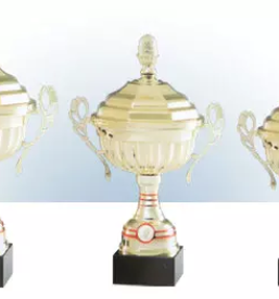 Hitra in ugodna izdelava pokalov Gorenjska