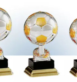 Izdelava pokalov po ugodni ceni Gorenjska