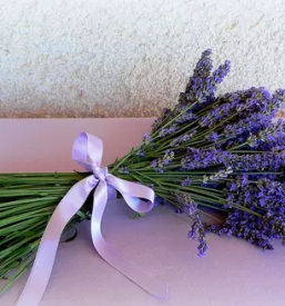 Izdelki iz sivke primorska