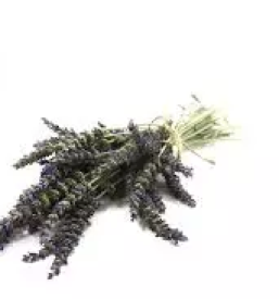 Izdelki iz sivke primorska