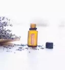 Izdelki iz sivke primorska